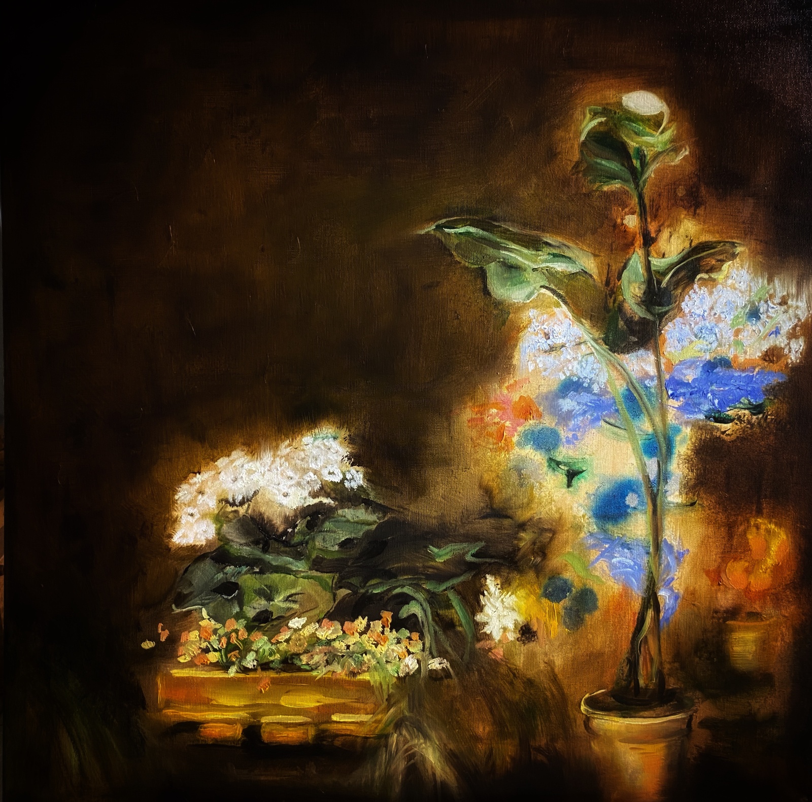 Home Study