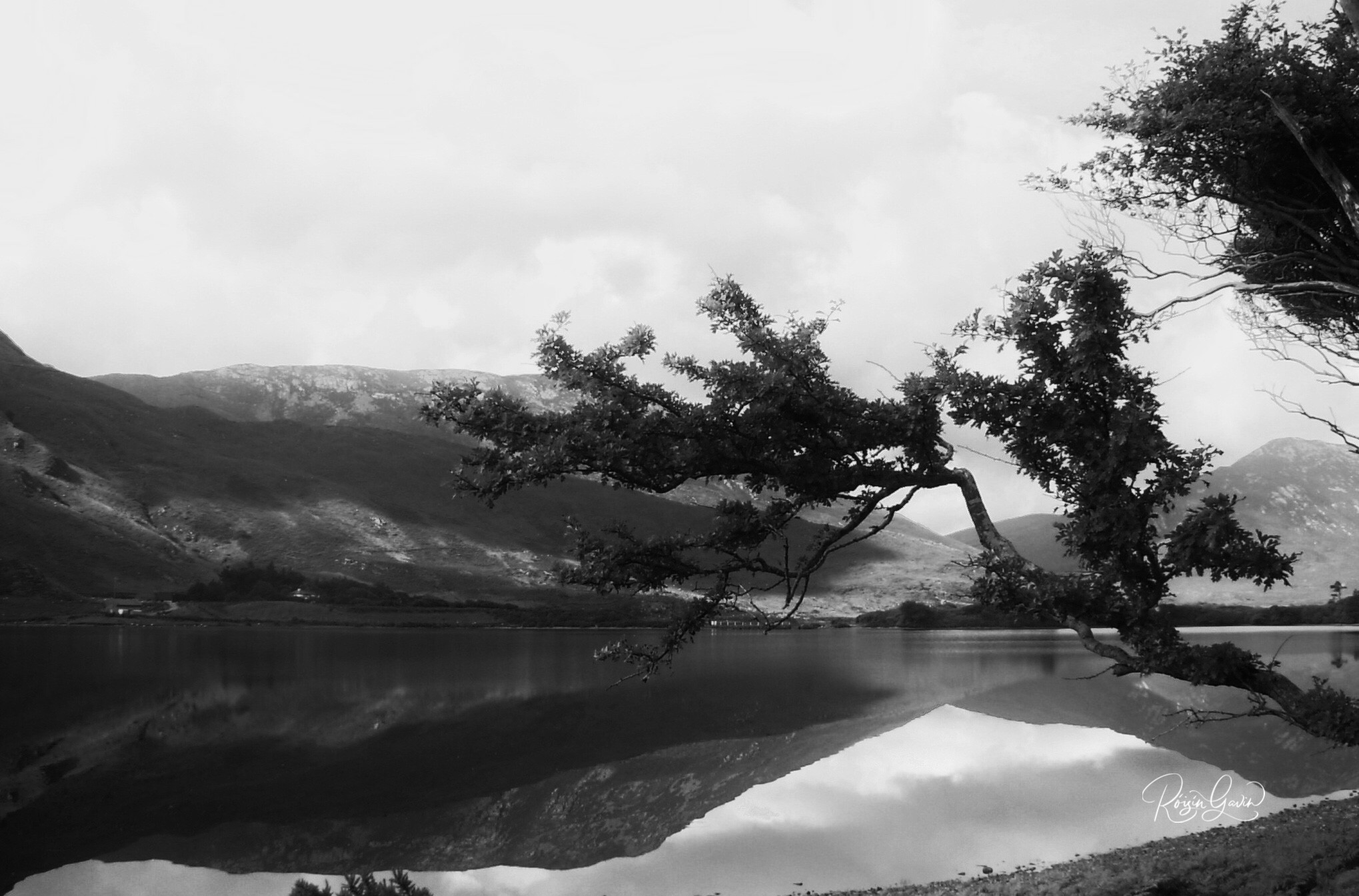 Verdant Connemara monochrome print