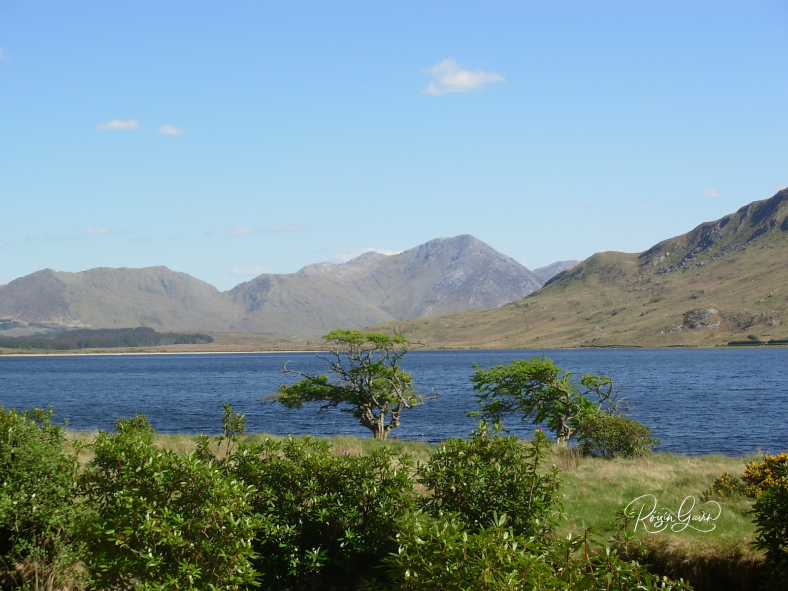 Connemara Summer